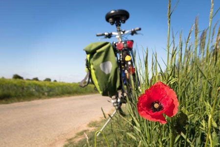 OSlow tourisme et mobilité douce en Aveyron : éloge de la lenteur et du temps retrouvé