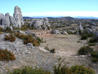 Camping Larzac